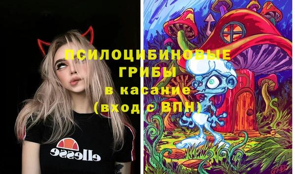 стаф Алексеевка
