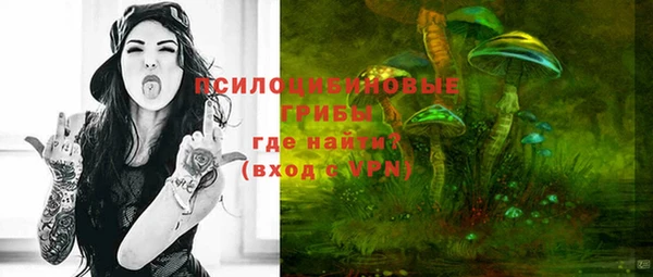 стаф Алексеевка