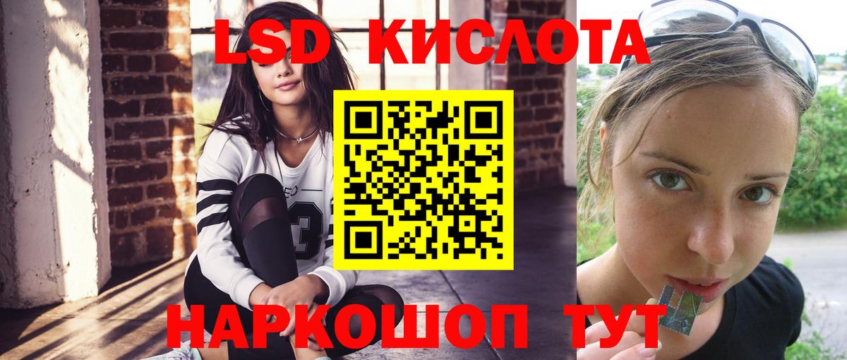 Новозыбков  kraken вход  Вход с VPN  ЛСД экстази ecstasy  ЛСД экстази 