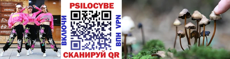 Псилоцибиновые грибы Psilocybine cubensis  дарнет шоп  Новозыбков 