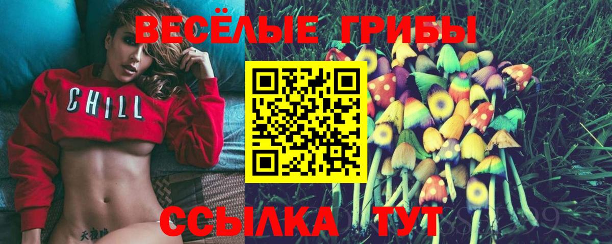 Псилоцибиновые грибы Psilocybine cubensis  Вход с VPN  Новозыбков 